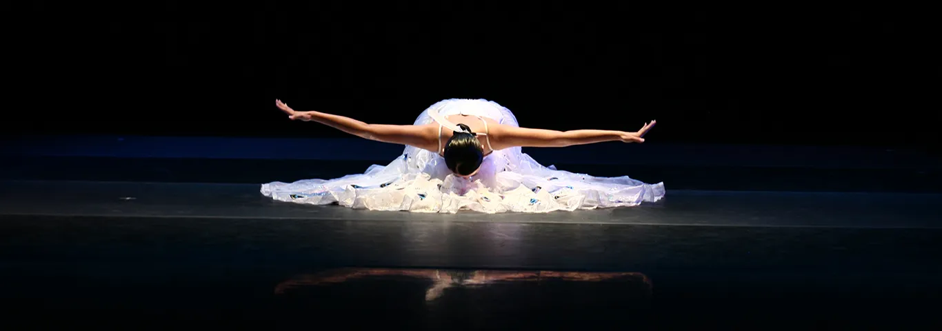 Ting-Ting Chang Dance Close Up 2008