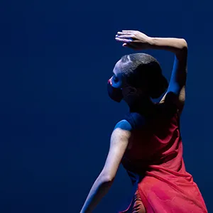 Allison Fabrizio, WUDT: Aperture 2020