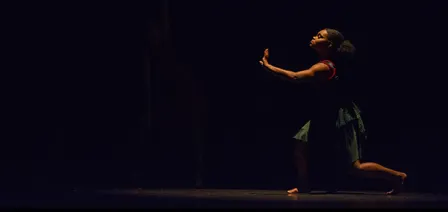 WU Dance Collective: Panorama, Graphic