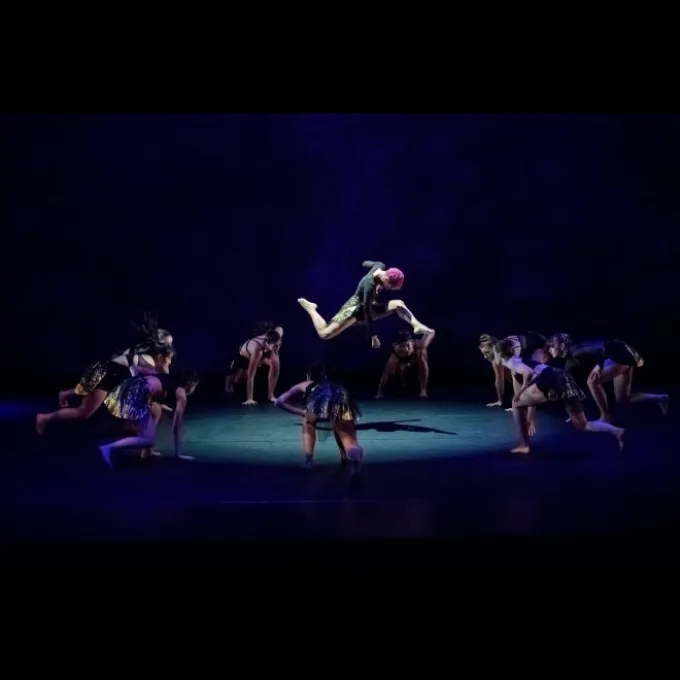 Photo Image from Washington University Dance Collective-2018